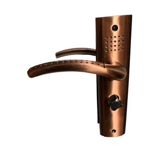 Broasca Yala Mica Usa Interior PP