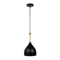 Pendul Player 1XE27 IP20, negru, Erste