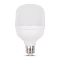 Bec LED 30W E27 6400K, Novelite
