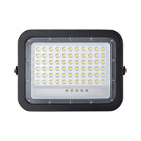 Proiector solar  LED 100W 6400K  cu telecomanda, Novelite