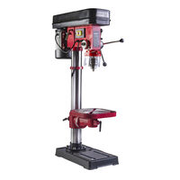 Masina de gaurit fixa 450W 16mm H=1.02m RDP-BD02, Raider Pro 011102