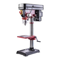 Masina de gaurit fixa 650W 16mm H=0.83m RDP-BD05, Raider Pro 011105