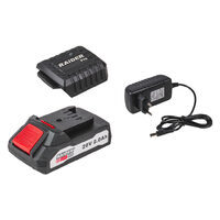 R20 Set incarcator si acumulator 20V x 2.0Ah, Raider Pro 032133