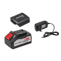 R20 Set incarcator si acumulator 20V x 4.0Ah, Raider Pro 032134
