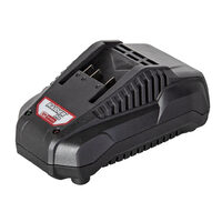 R20 Incarcator 20V x 2.5A cu baza, Raider Pro 039704