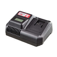 R20 Incarcator 20V x 8.0A, Raider Pro 039713