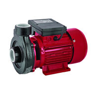 Pompa de apa 750W RD-1.5DK20, Raider Garden Tools 070103