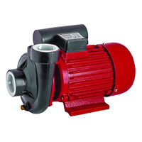 Pompa de apa 1500W RD-2DK20, Raider Garden Tools 070105