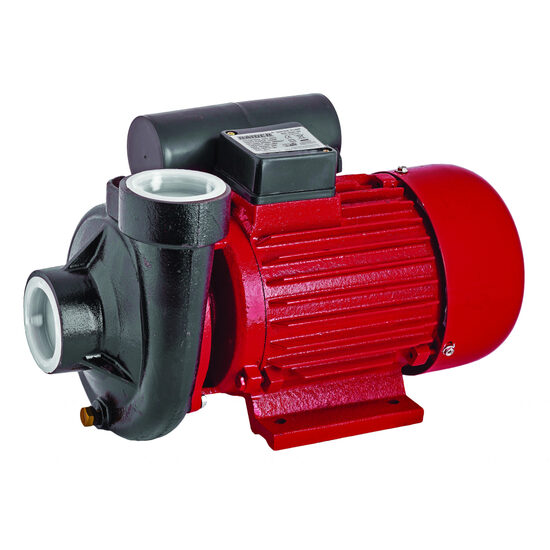 Pompa de apa 1500W RD-2DK20, Raider Garden Tools 070105