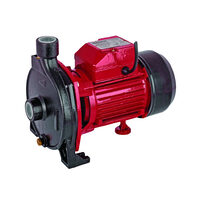 Pompa de apa 850W RD-WP158, Raider Garden Tools 070116