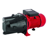 Pompa de apa 1100W RD-JET100, Raider Garden Tools 070117