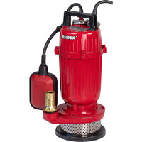 Pompa submersibila 550W 1" 50L/min 17m 8m cablu RD-CAWP51, Raider Garden Tools 070158