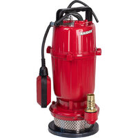 Pompa submersibila 750W 1" 50L/min 20m 8m cablu RD-CAWP52, Raider Garden Tools 070159