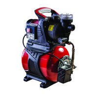 Hidrofor cu rezervor 800W 1" 53 L/min 3bar RDP-WP800SW, Raider Pro 071105