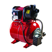 Hidrofor cu rezervor 800W 1"max 53 L/min 3bar 40m RDP-WP800S, Raider Garden Tools 071106