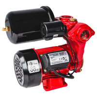 Mini hidrofor 550W 1" 45L/min 58m RD-WP550, Raider Garden Tools 071110