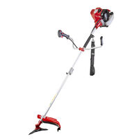 Motocoasa 3cp RD-GBC24, Raider Garden Tools 075011