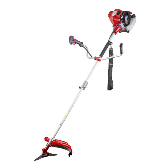 Motocoasa 3cp RD-GBC24, Raider Garden Tools 075011