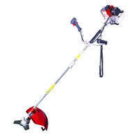 Motocoasa pliabila 2.4cp RD-GBC20, Raider Garden Tools 075543
