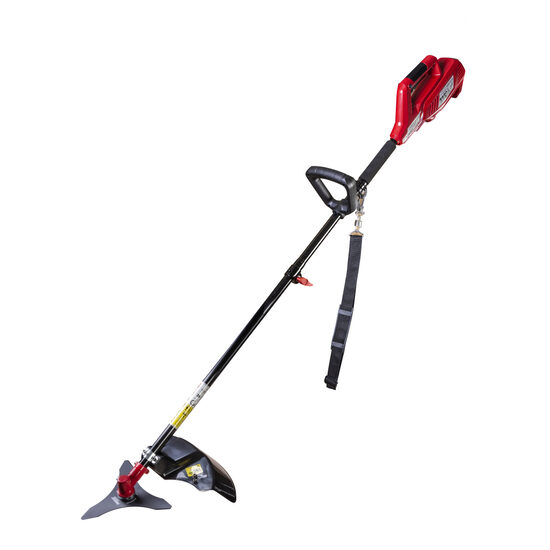 Motocoasa electrica 1.2kW RD-EBC06, Raider Garden Tools 075547