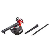 Suflanta frunze cu aspirare si tocator 3000W RD-EBV05, Raider Power Tools 075561