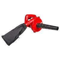 Suflanta frunze 650W RD-EBV07, Raider Garden Tools 075567