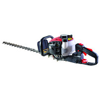 Trimmer pe benzina pentru gard viu 600mm 650W RD-GHT02, Raider Garden Tools 075702