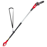 Fierastrau electric telescopic de taiat crengi 710W RD-PS01, Raider Garden Tools 075703