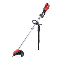 R20 Trimmer 300mm 20V 2Ah 1h RDP-SBBC20 Set, Raider Garden Tools 075711