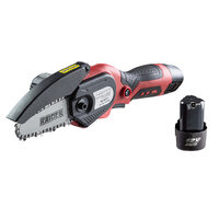 Mini fierastrau electric12V 100mm1/4".043" 2x2Ah RD-GP21 Set, Raider Garden Tools 075720