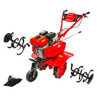 Motocultor 7cp RD-WT14, Raider Garden Tools 076914