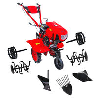 Motocultor 7cp RD-WT15, Raider Garden Tools 076915