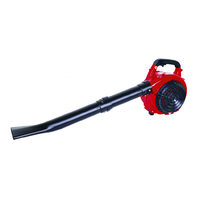 Suflanta pe benzina cu aspirator si tocator 1.0CP RD-GBV05, Raider Garden Tools 077401
