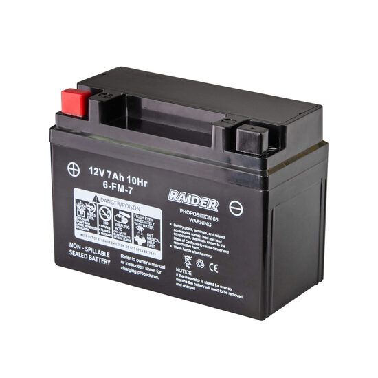Baterie pentru generator pe benzina RD-GG13, Raider Power Tools 090111