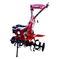 Motocultor 7cp RD-T06, Raider Garden Tools 095111