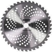 Lama motocoasa tip disc cu 40 de dinti Ø255x25.4mm vidia gri, Raider Garden Tools 110230