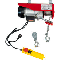 Macara electrica 250kg 510W RD-EH01, Raider Power Tools 121101