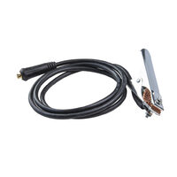 Set cablu sudura 16mm2 2m cleste pentru impamantare si cupla, Raider Power Tools 138344