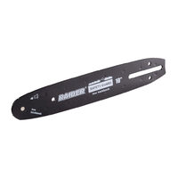 Bară de ghidare 255 mm (10") SDS 3/8".050" pentru RDI-BCCS32, Raider Industrial 141317