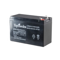 Acumulator 12V x 8.0Ah pt. pulverizator electric TG, Top Garden 380320