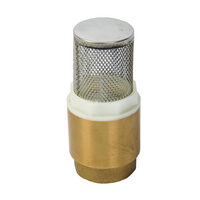 Sorb pompa apa curata 1" TG, Top Garden 400100