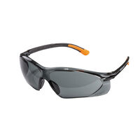 Ochelari de protectie SG01 cu lentile fumurii TMP, Top Master Pro 561402