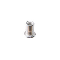Nituri tip piulita 6mm 50buc TMP, Top Master Pro 511157