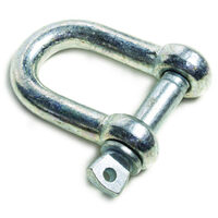 Ancora cu surub 10mm TS, Top Strong 520708