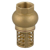 Sorb din alama 1", Ferro ZS2K