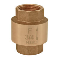 Supapa de sens din alama cu arc 3", Ferro ZZ8