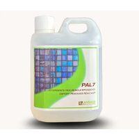 Solutie speciala indepartare reziduuri epoxidice Pal7 - 1 litru