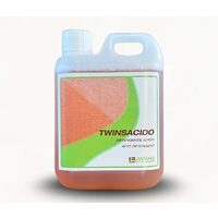 Detergent acid pentru caramizi, beton sau granit - Twinsacido 1 litru