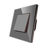 Intrerupator ST mecanic cu rama din sticla gri Luxion LXD-MP001GF-GY