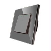 Comutator ST mecanic cu rama din sticla gri Luxion LXD-MP004GF-GY